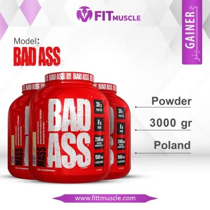 BADASS MASS GAINER