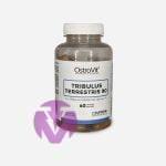 کپسول تریبولوس ترستریس استروویت | OstroVit Tribulus